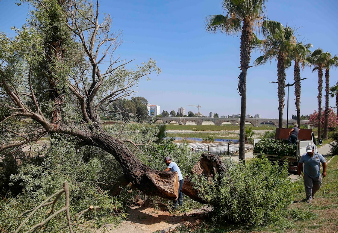 Adana Regulus Peyzaj